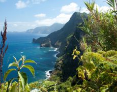 Madeira - Nord-Ost Küste bei Santana