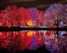 Lichterfest im LUISENPARK